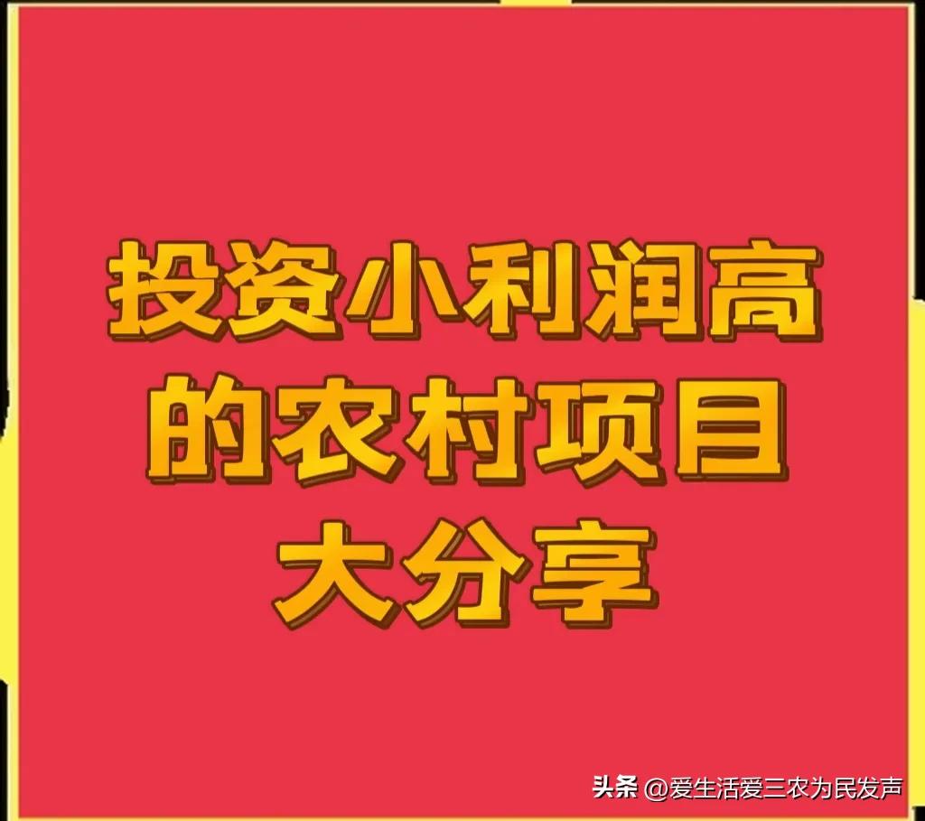 农村投资什么项目最赚钱（农村投资什么能赚钱）