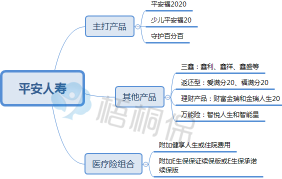 中国保险公司十大排名（中国车险十大排名）