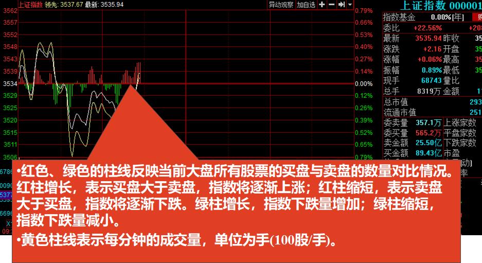 股市知识入门基础知识（股市知识入门基础知识书籍）