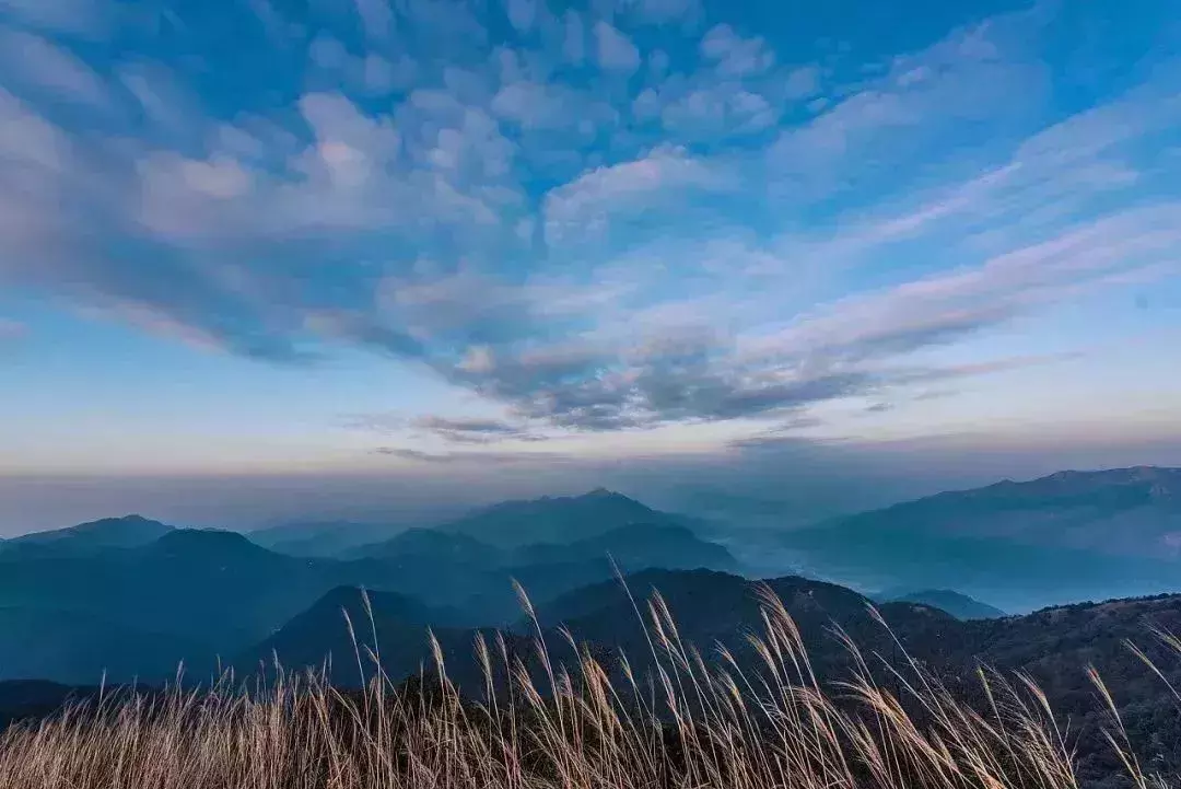 广州几个区分别叫什么（广州市有多少区分别叫什么）