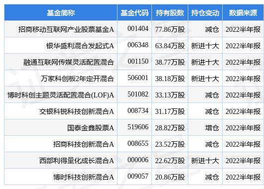 招商移动互联网产业股票基金（招商移动互联网产业股票基金属于什么板块）