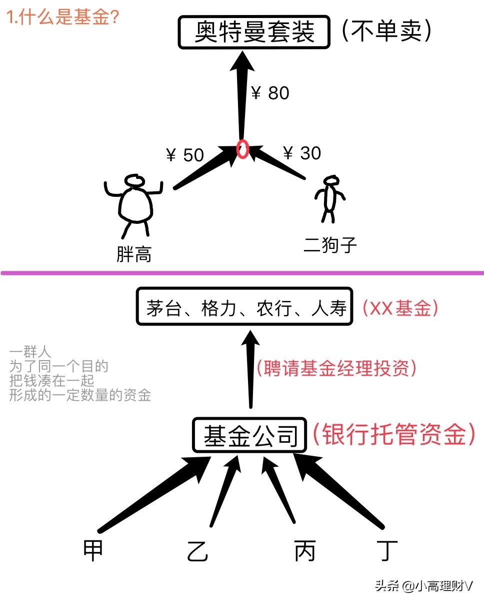 基金理财怎么入门（基金理财怎么学）