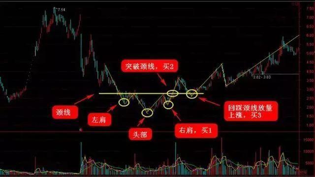 新手股票入门怎么学（新手怎样炒股票入门）