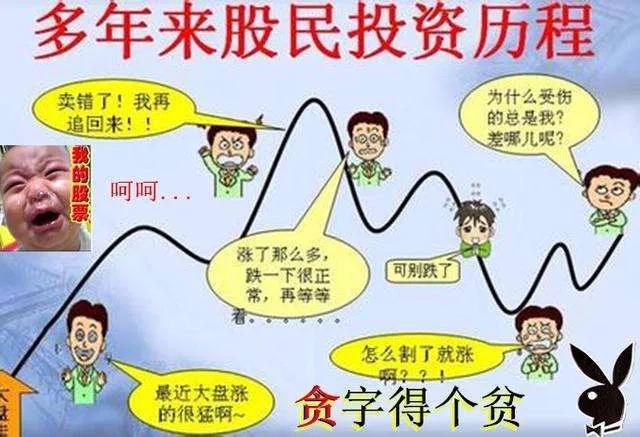 基金组合怎么赚钱（自己做基金组合）