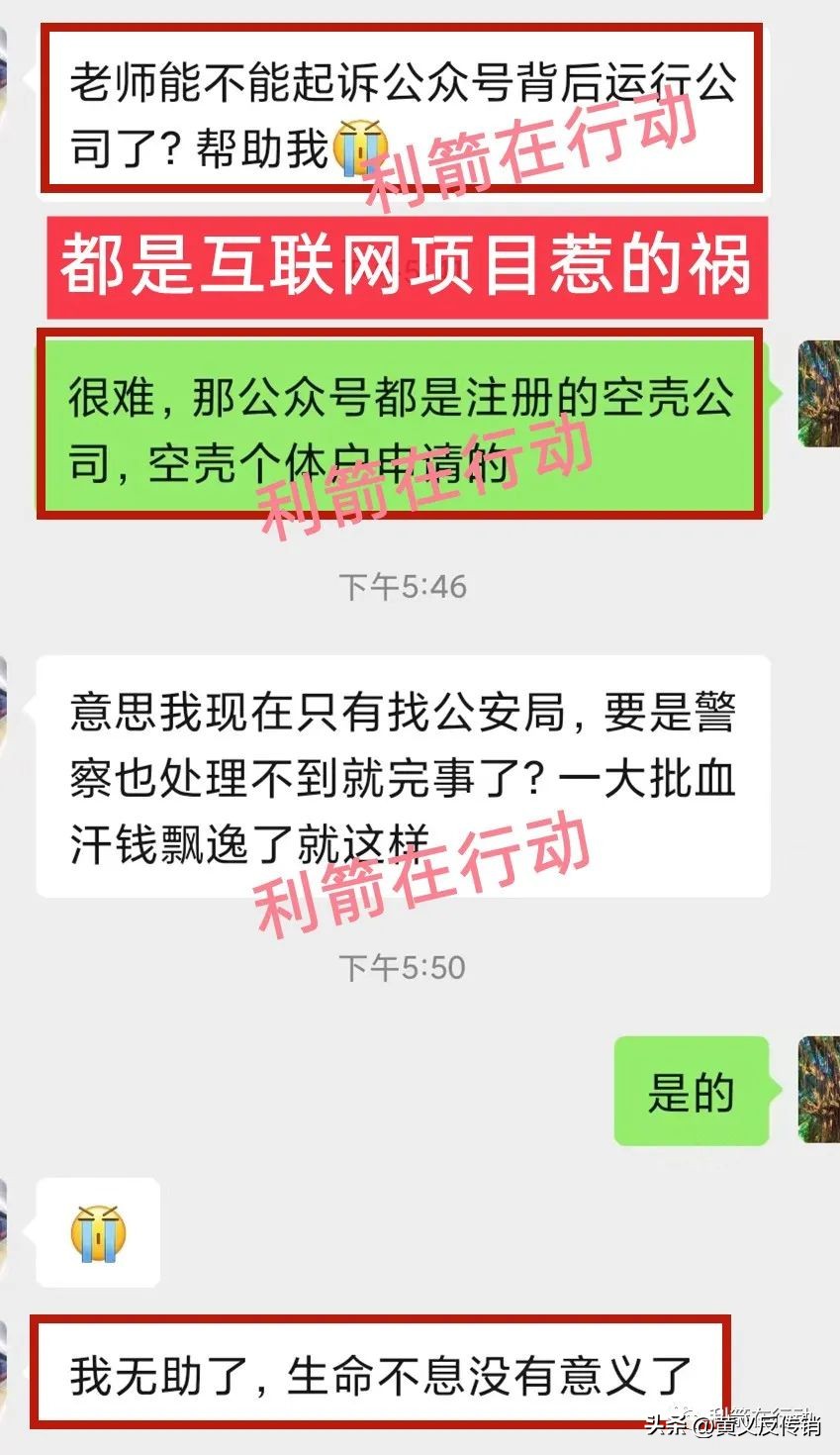 中财网手机版app（中财网百度百科）