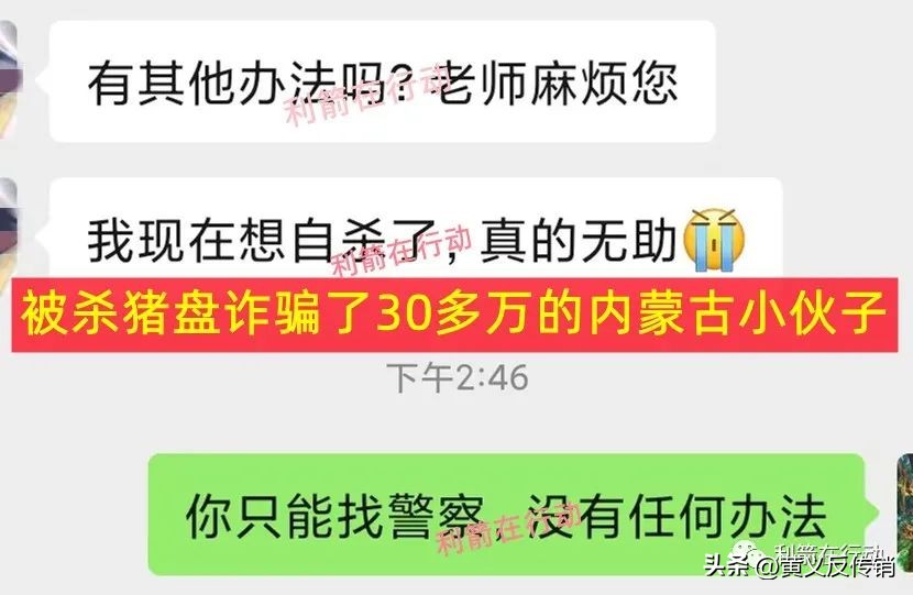 中财网手机版app（中财网百度百科）