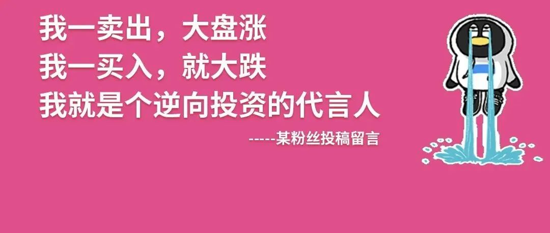 新手买理财还是买基金好（新手理财买基金还是股票）