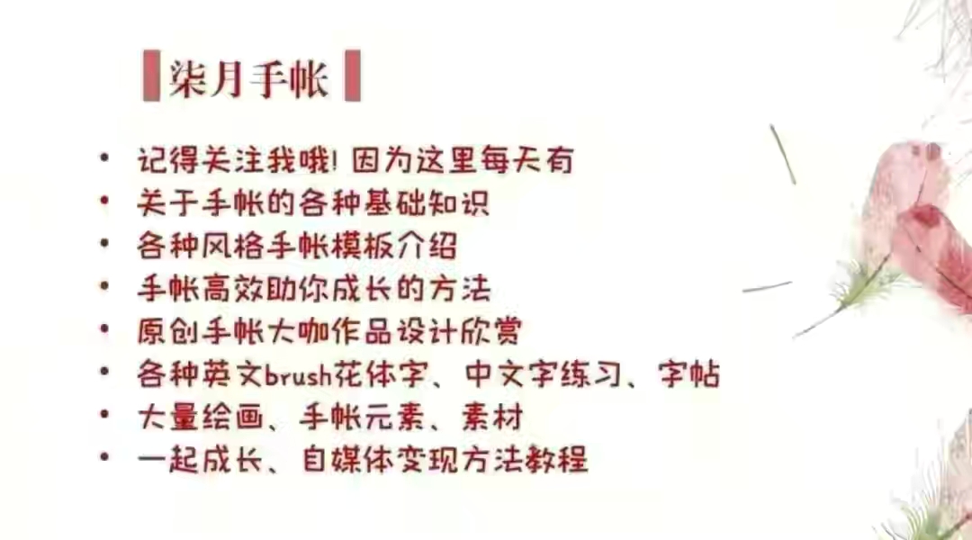 女孩子怎么学理财比较好（女生怎么学理财）