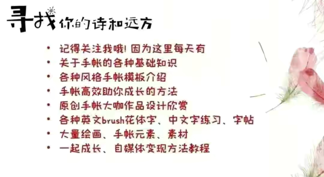 女孩子怎么学理财比较好（女生怎么学理财）