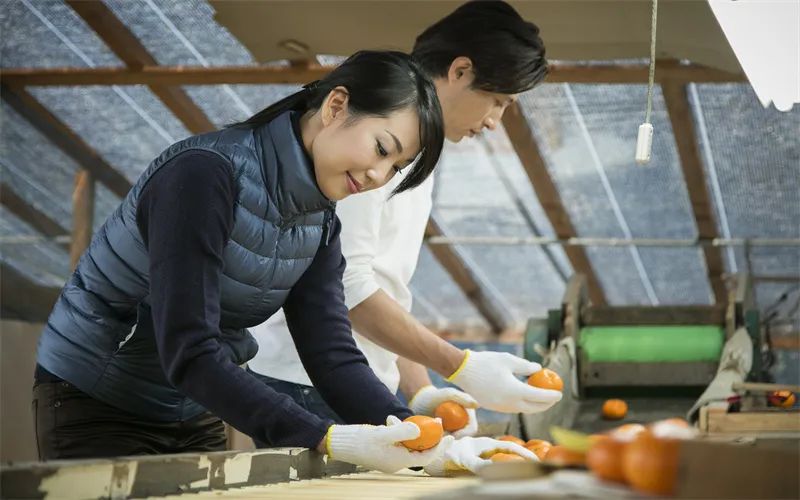 家庭小作坊做什么好小致富项目（家庭致富小作坊赚钱真实）