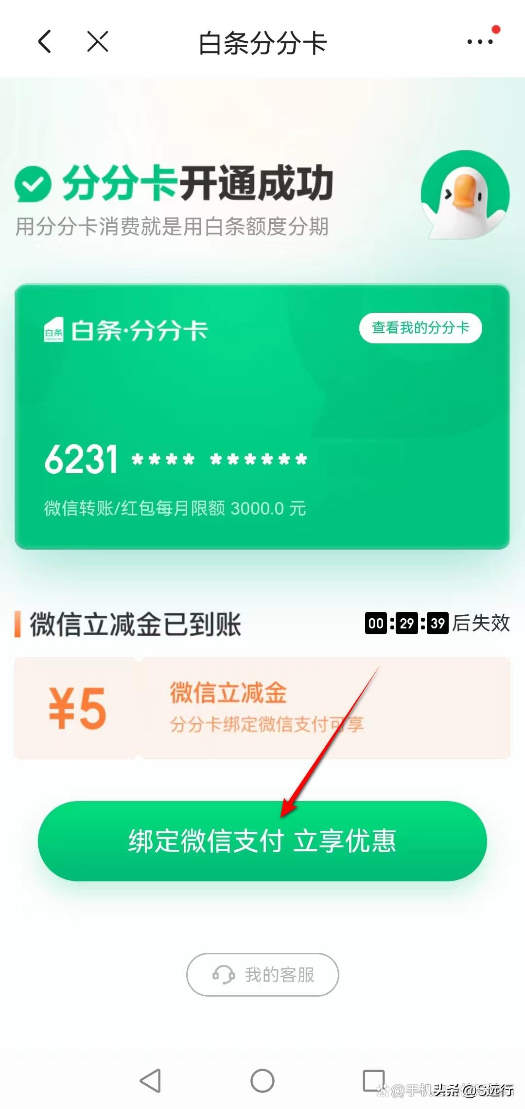 京东白条是什么（京东白条是什么公司）