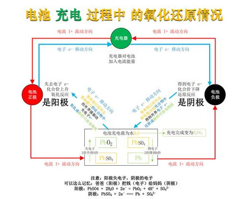 阴极是正极负极（阴极是正极负极么）