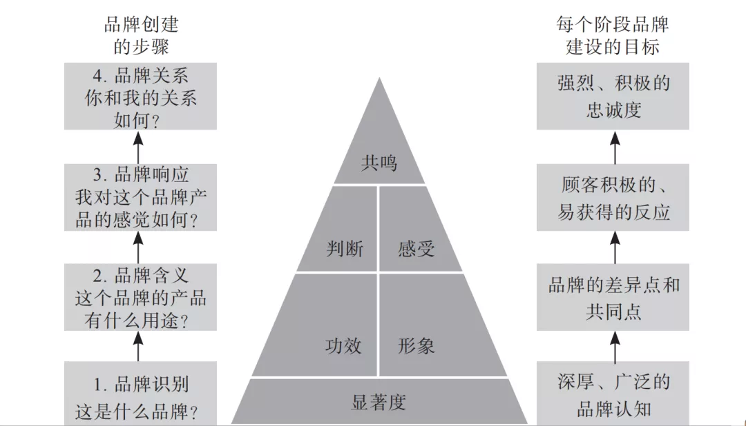 百事可乐和可口可乐的区别（百事可乐和可口可乐的区别广告）