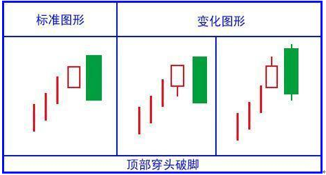 股市入门常识图文（股市行情入门知识）