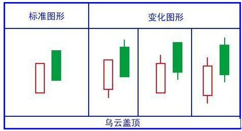 股市入门常识图文（股市行情入门知识）