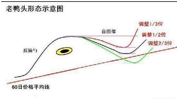 老鸭头形态图解（股票倒挂老鸭头形态图解）