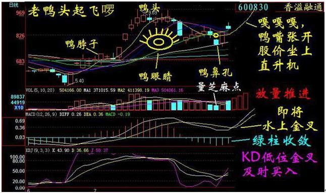 老鸭头形态图解（股票倒挂老鸭头形态图解）