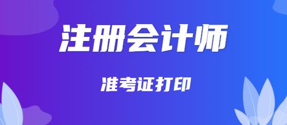 会计师报名入口官网（2023会计师报名入口官网）