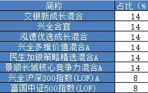 指数基金定投20年利弊（指数基金定投20年利弊大吗）