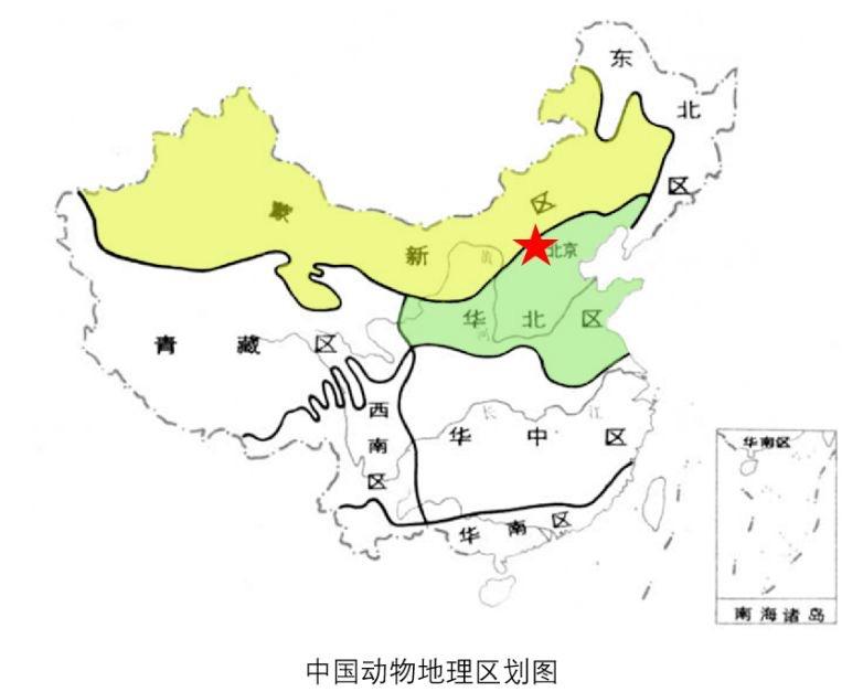 华东地区包括（华东地区包括哪些省份和地区）