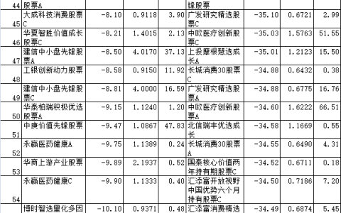 十大股票基金（最好的股票基金）