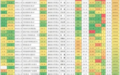 排名前十的基金经理人（前10大基金经理）