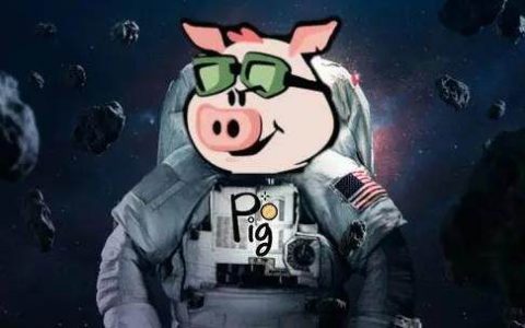 pig币哪里下载 pig币app苹果最新版