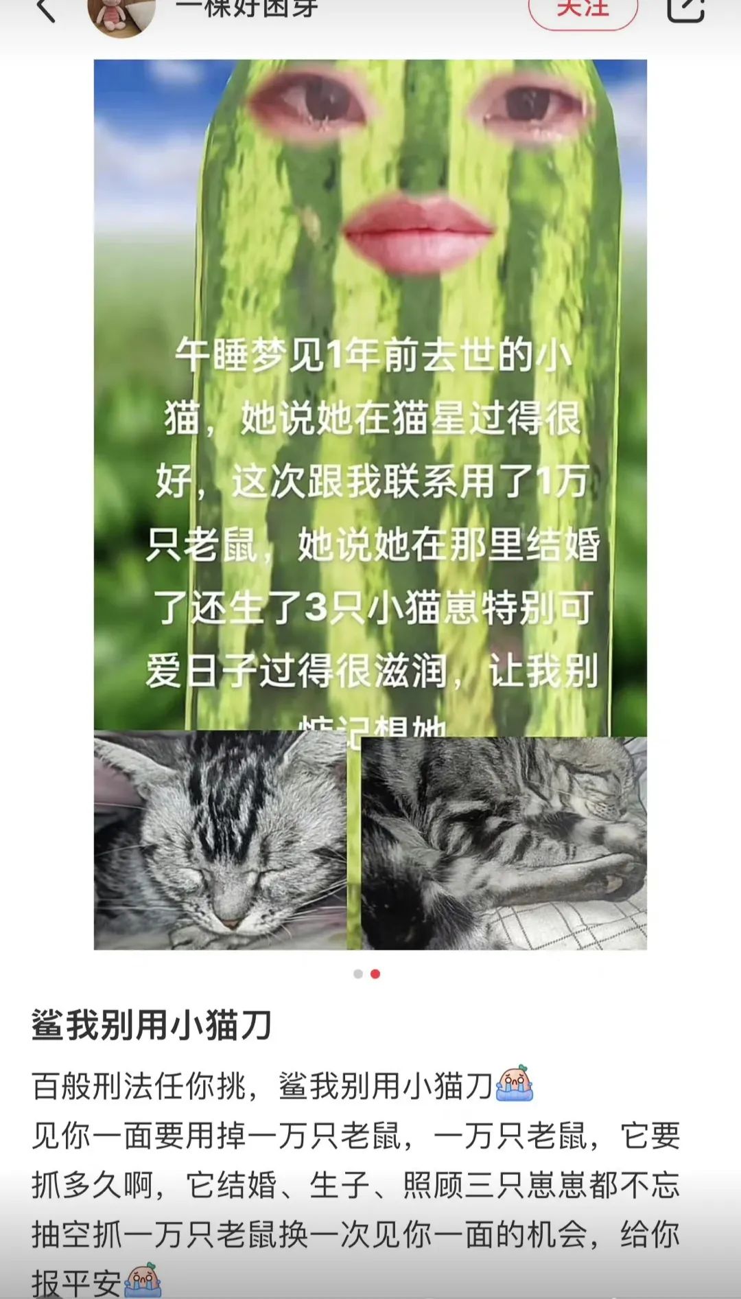 刀是什么意思网络用语（网络用语刀的意思）