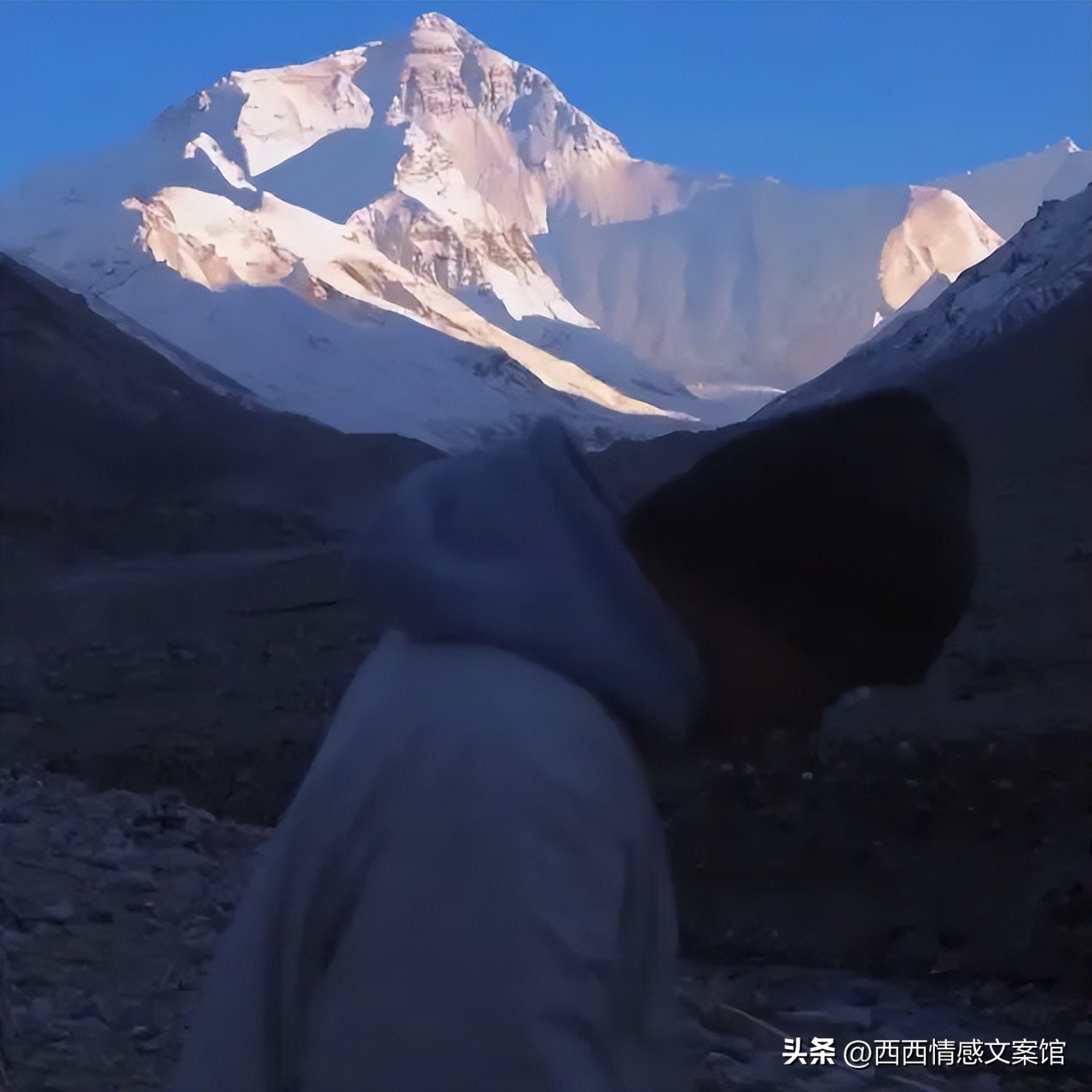 最好的爱情状态的句子（最好的爱情状态是）