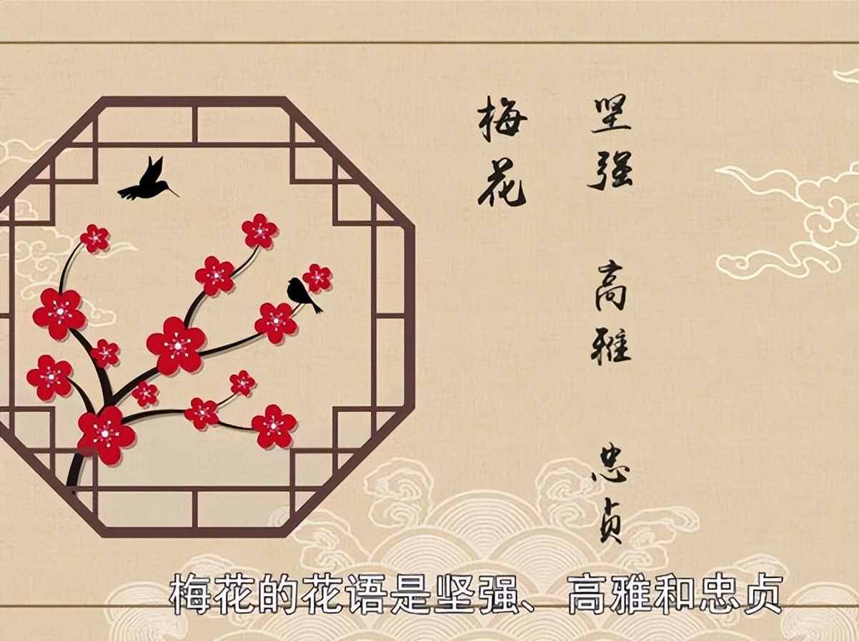 梅花代表什么象征意义（向日葵代表什么象征意义）