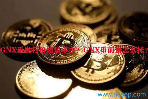 GNX币发行价格是多少？GNX币前景怎么样？