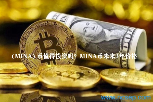 (MINA) 币值得投资吗？MINA币未来3年价格