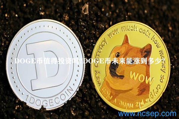 DOGE币值得投资吗？DOGE币未来能涨到多少？