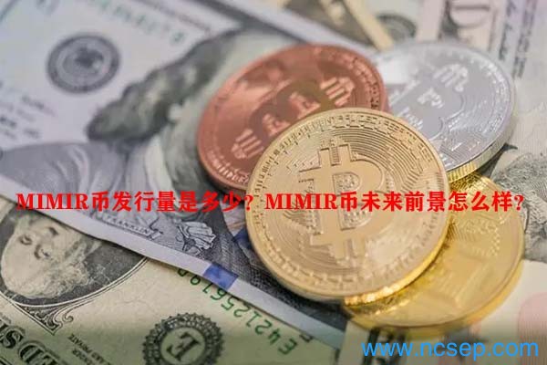 MIMIR币发行量是多少？MIMIR币未来前景怎么样？